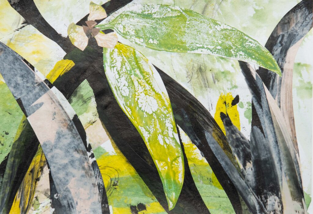 A mixed media collage of eucalyptus leaves in paint, paper and ink.